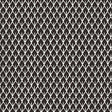 Schumacher Mughal Leaf Noir Wallpaper