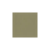 Kravet Muller Nickel Fabric