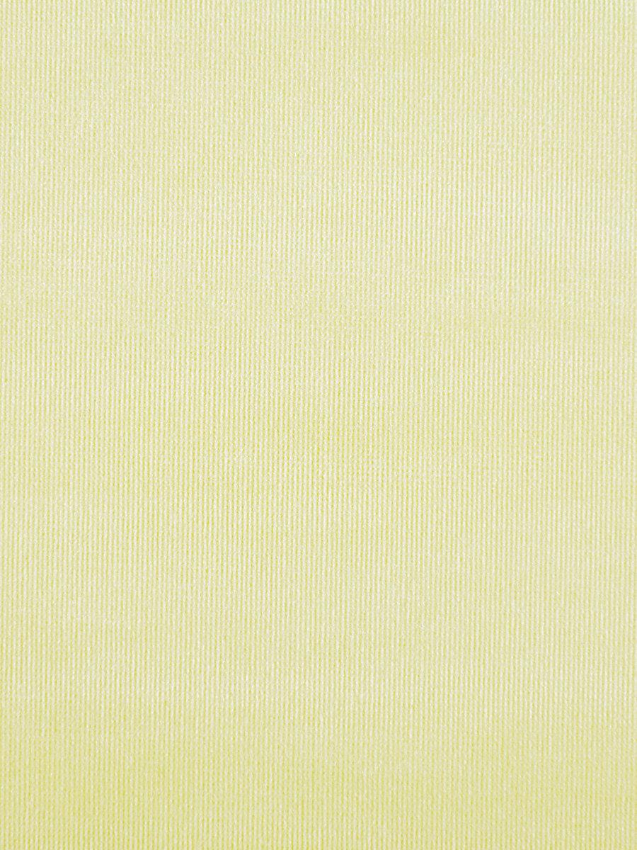 Scalamandre Glamour Velvet Driftwood Fabric