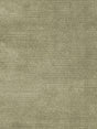 Scalamandre Antique Velvet Kelp Fabric