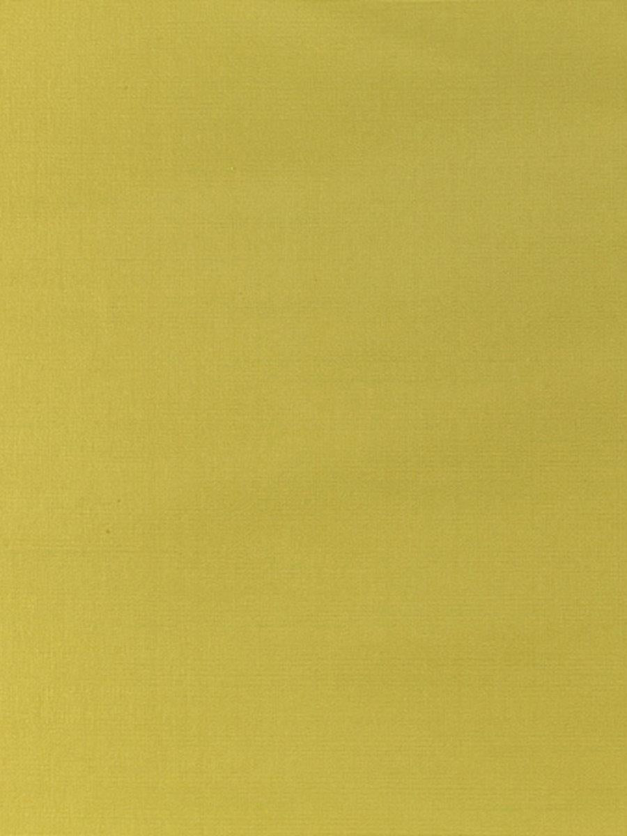 Scalamandre Pacific Silk Spring Fabric