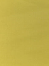 Scalamandre Pacific Silk Spring Fabric