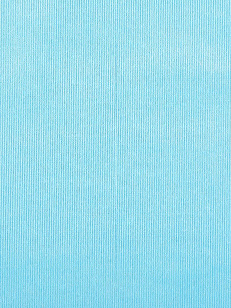 Scalamandre Glamour Velvet Capri Fabric