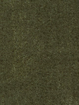 Scalamandre Majestic Mohair Olive Fabric