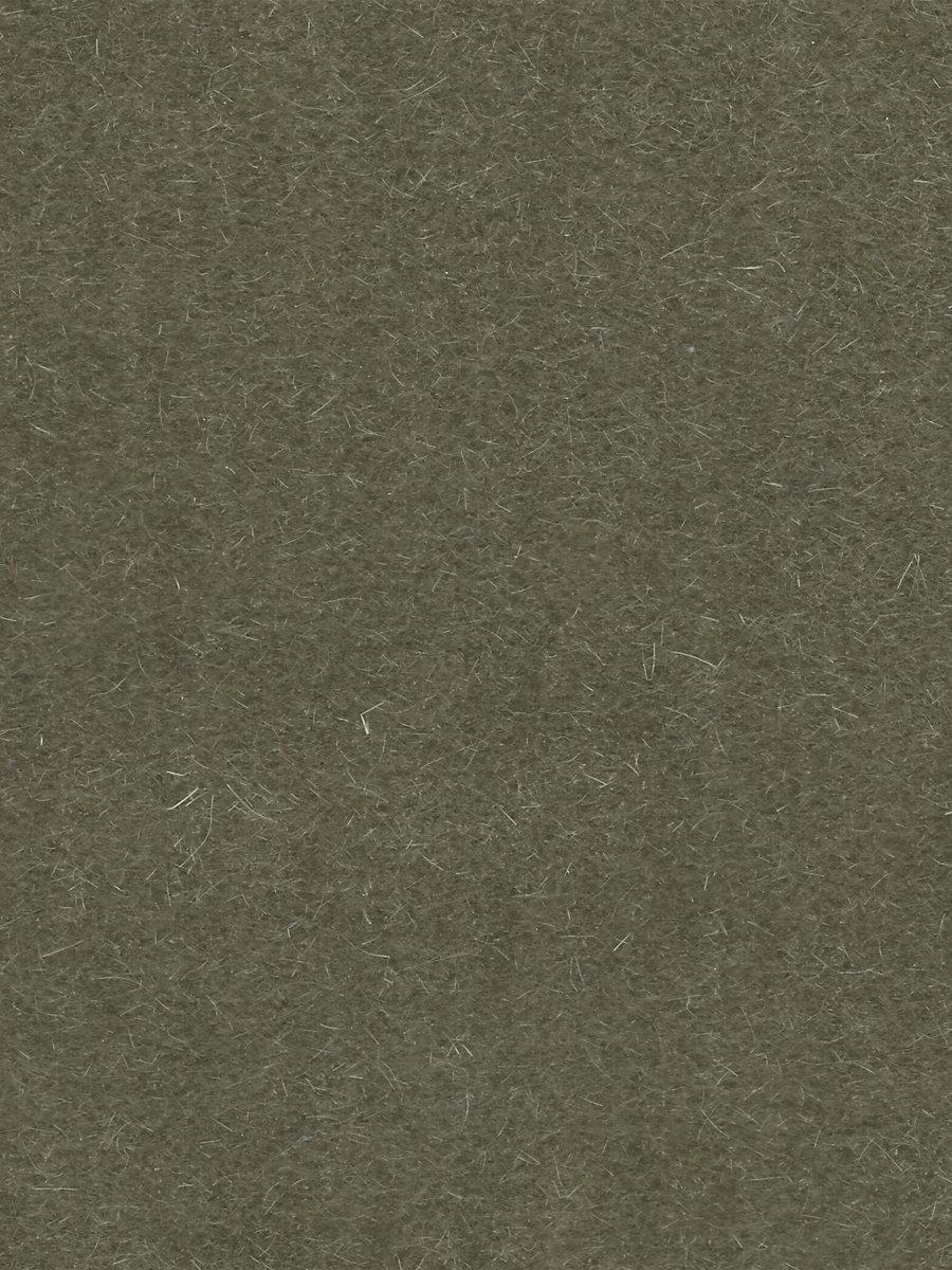 Scalamandre Majestic Mohair Moss Fabric