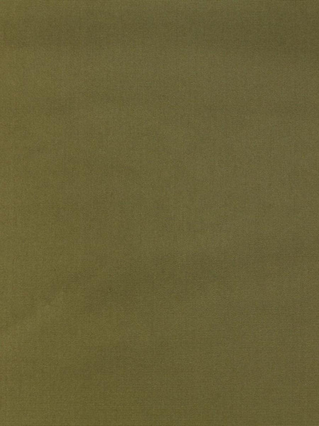 Scalamandre Pacific Silk Moss Fabric