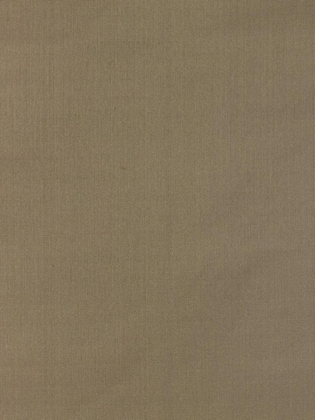 Scalamandre Pacific Silk Tumbleweed Fabric