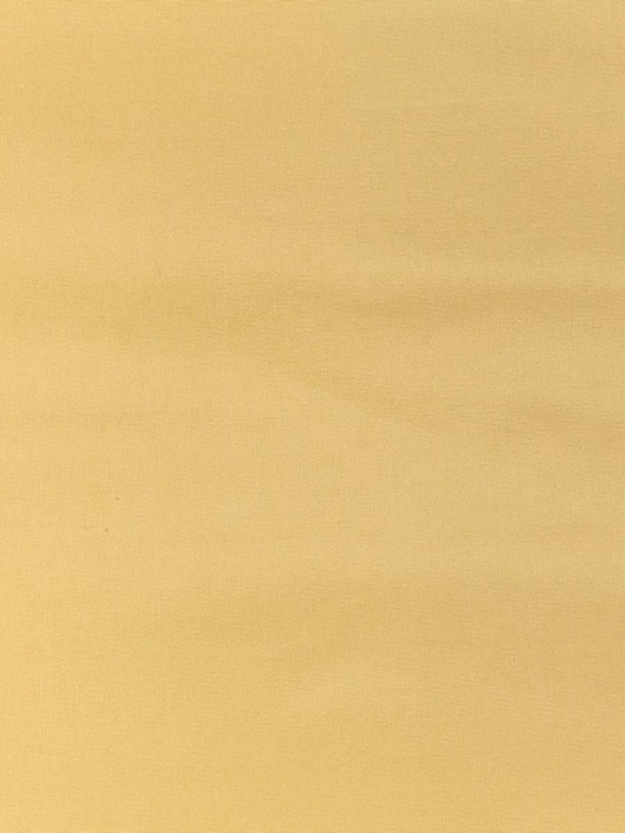 Scalamandre Pacific Silk Straw Fabric