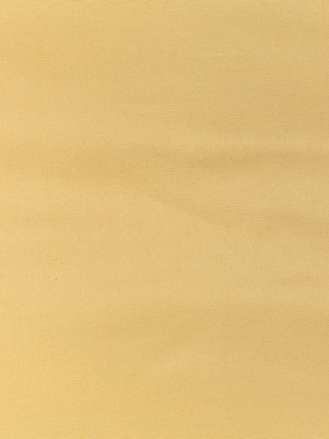 Scalamandre Pacific Silk Straw Fabric