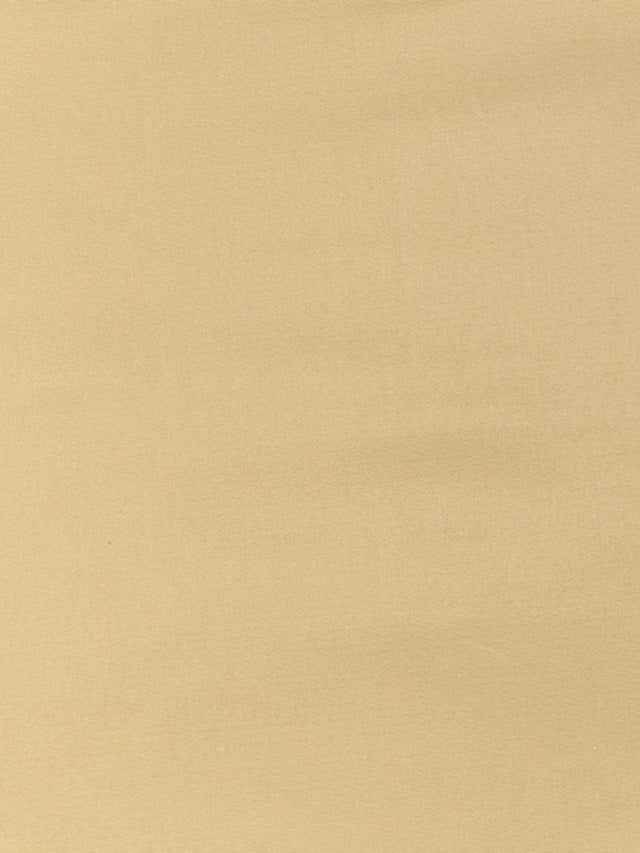 Scalamandre Pacific Silk Ginger Fabric