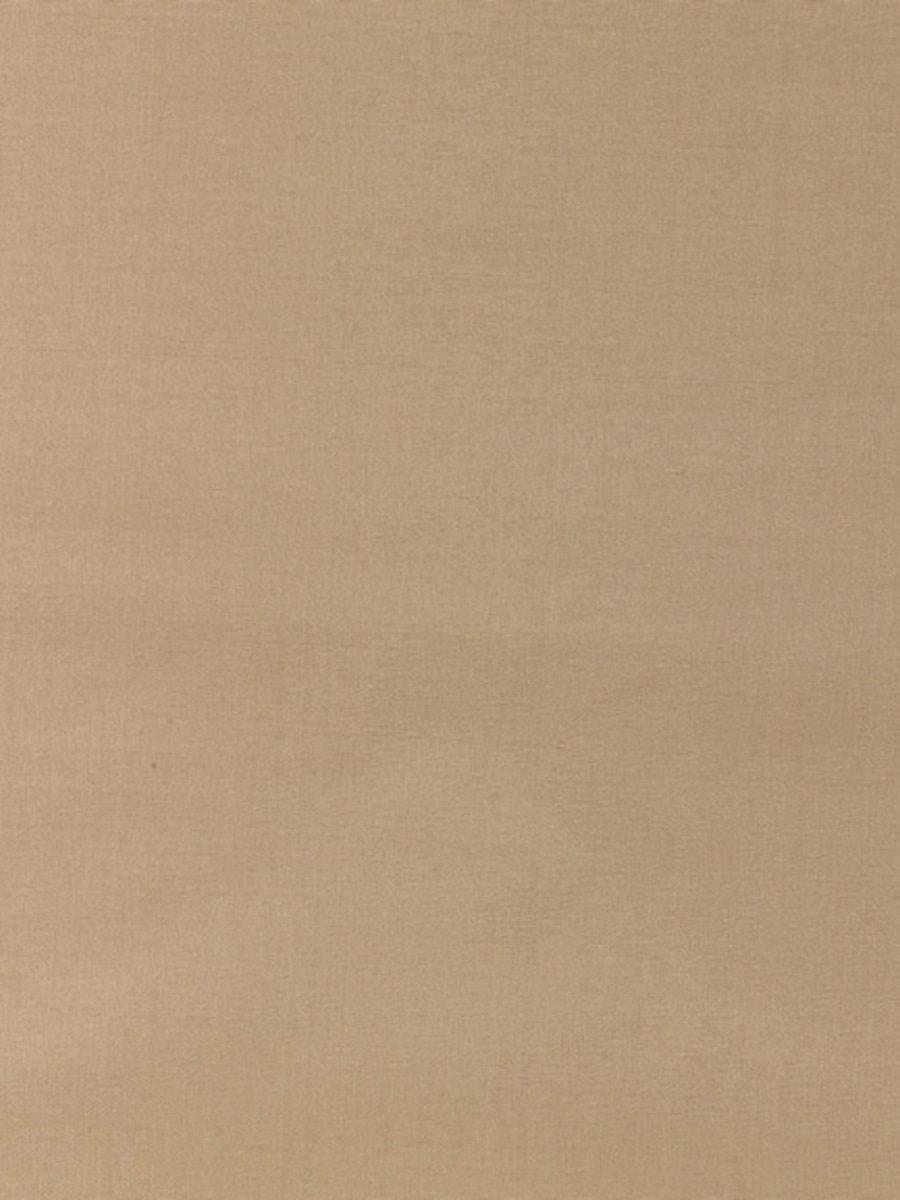 Scalamandre Pacific Silk Biscotti Fabric