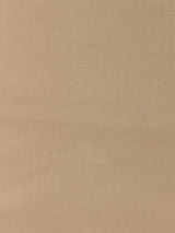 Scalamandre Pacific Silk Biscotti Fabric