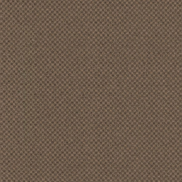 Kasmir Paquin Chestnut Fabric