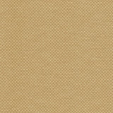 Kasmir Paquin Harvest Fabric