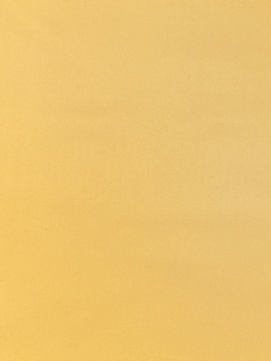 Scalamandre Pacific Silk Maize Fabric