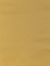 Scalamandre Pacific Silk Gilt Fabric