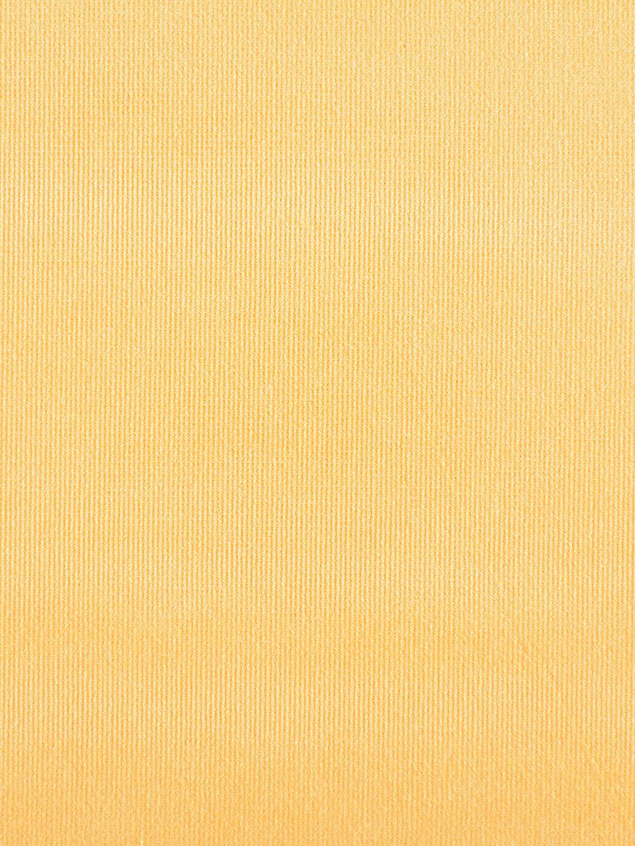 Scalamandre Glamour Velvet Tangerine Fabric