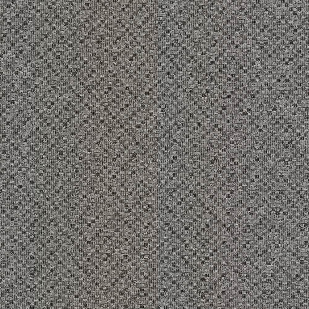 Kasmir Paquin Oxford Fabric