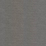 Kasmir Paquin Oxford Fabric