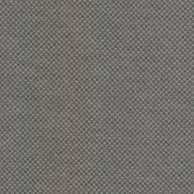 Kasmir Paquin Oxford Fabric