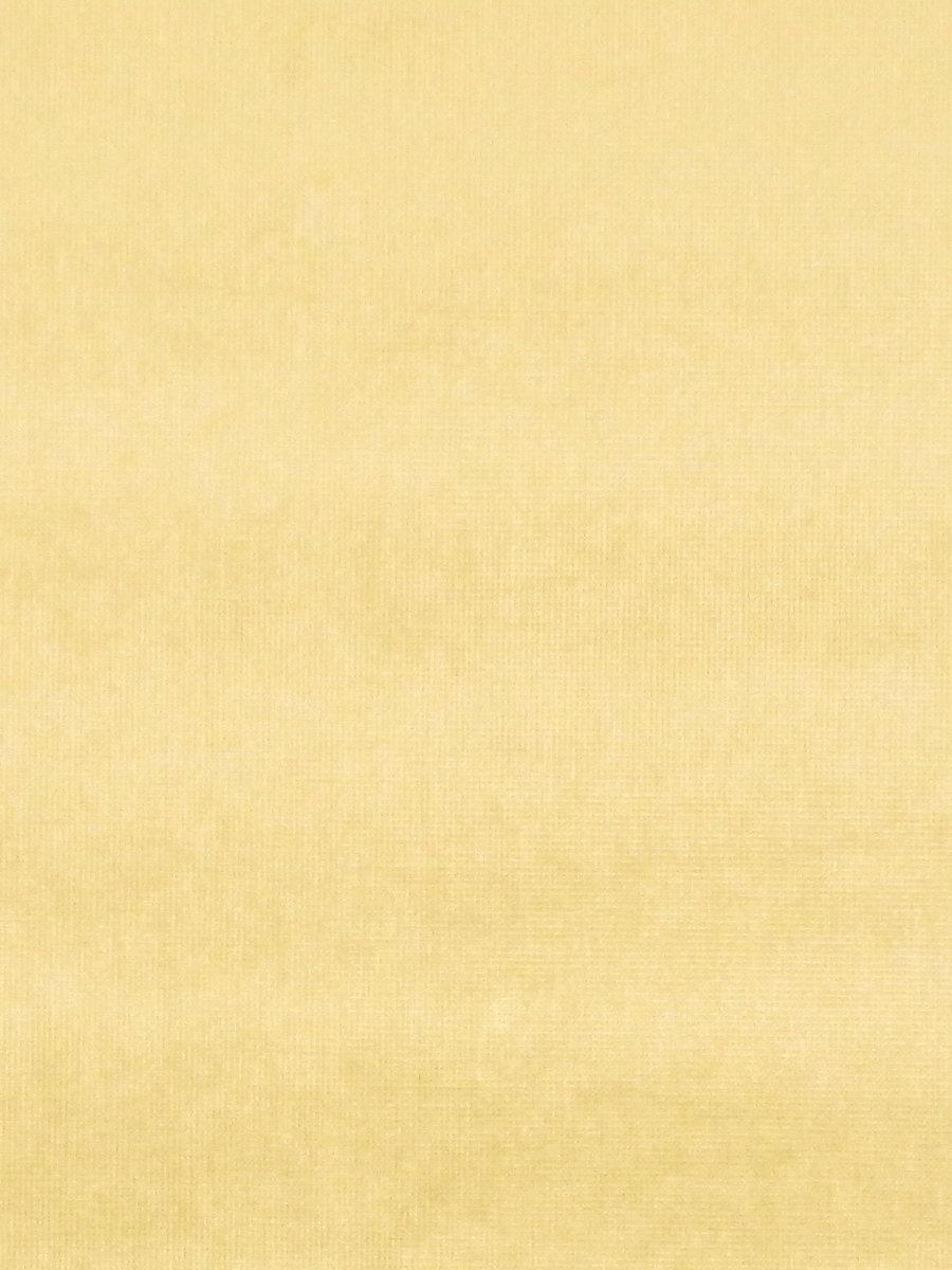 Scalamandre Glamour Velvet Gold Fabric