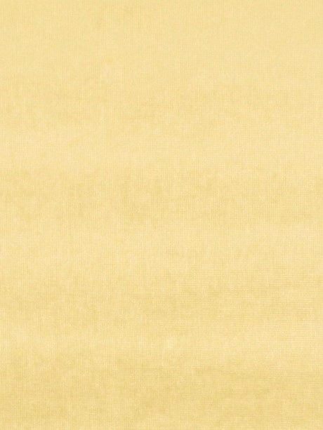 Scalamandre Glamour Velvet Gold Fabric