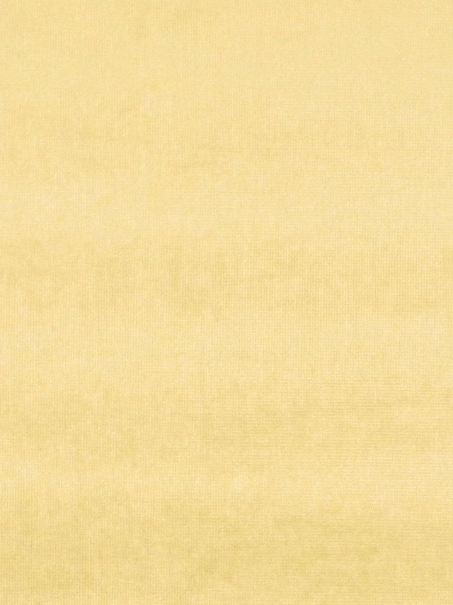 Scalamandre Glamour Velvet Gold Fabric