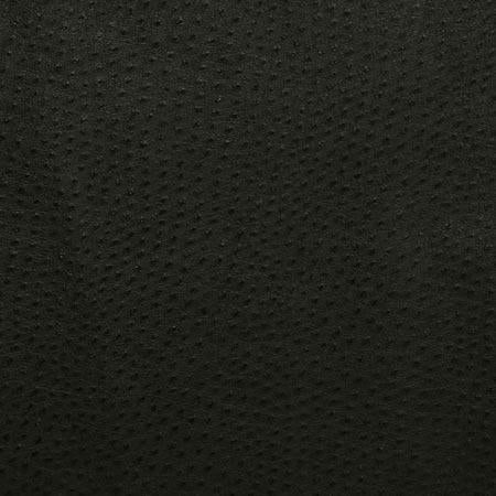 Pindler OUTBACK EBONY Fabric