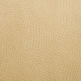 Pindler OUTBACK FLAX Fabric