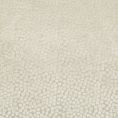 Kravet FLURRIES STONE Upholstery Fabric