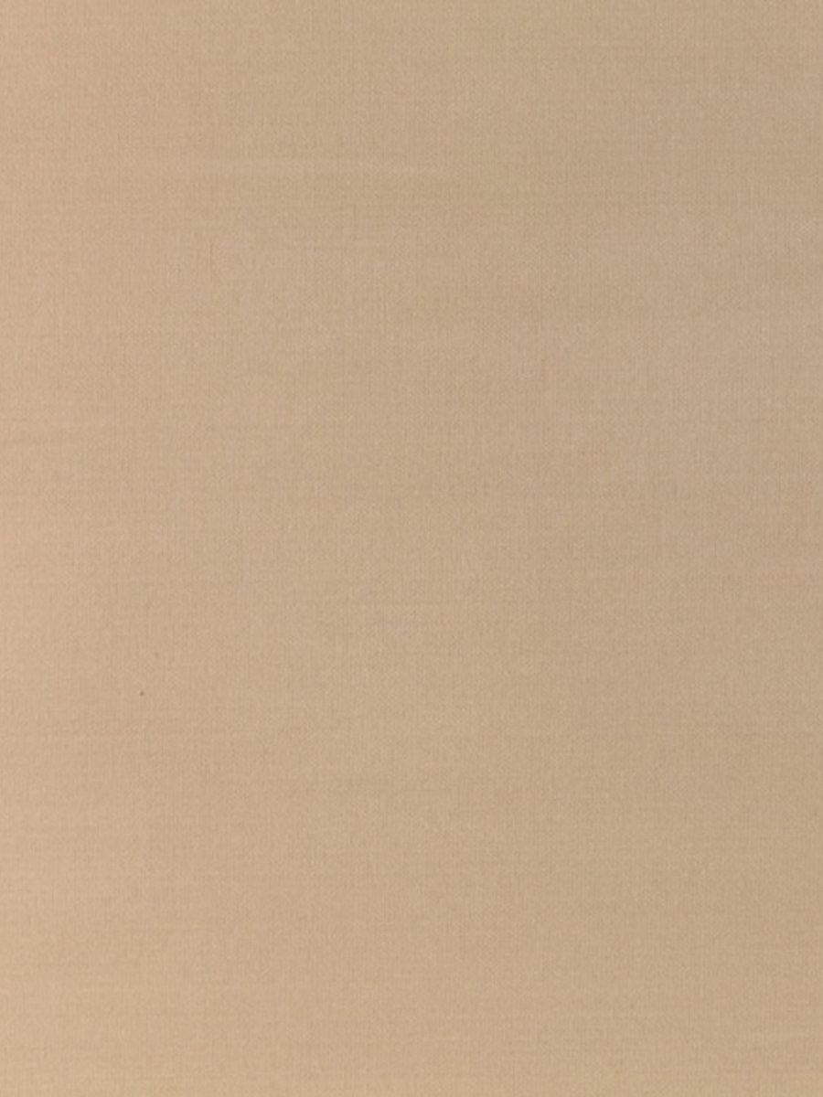 Scalamandre Pacific Silk Putty Fabric