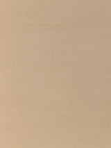 Scalamandre Pacific Silk Putty Fabric