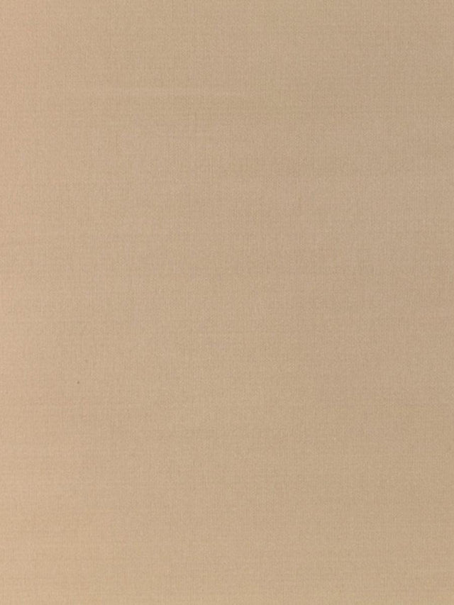 Scalamandre Pacific Silk Putty Fabric