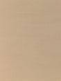 Scalamandre Pacific Silk Putty Fabric