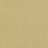 Kasmir Patter Oatmeal Fabric