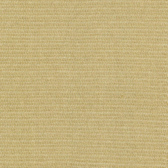 Kasmir Patter Oatmeal Fabric