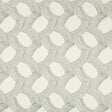 Kravet WHYKNOT DOVE Fabric