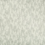 Kravet PLEIN AIR QUARTZ Fabric