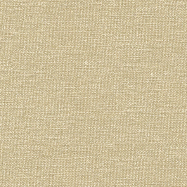 Kravet SMART 34959 1116 Upholstery Fabric