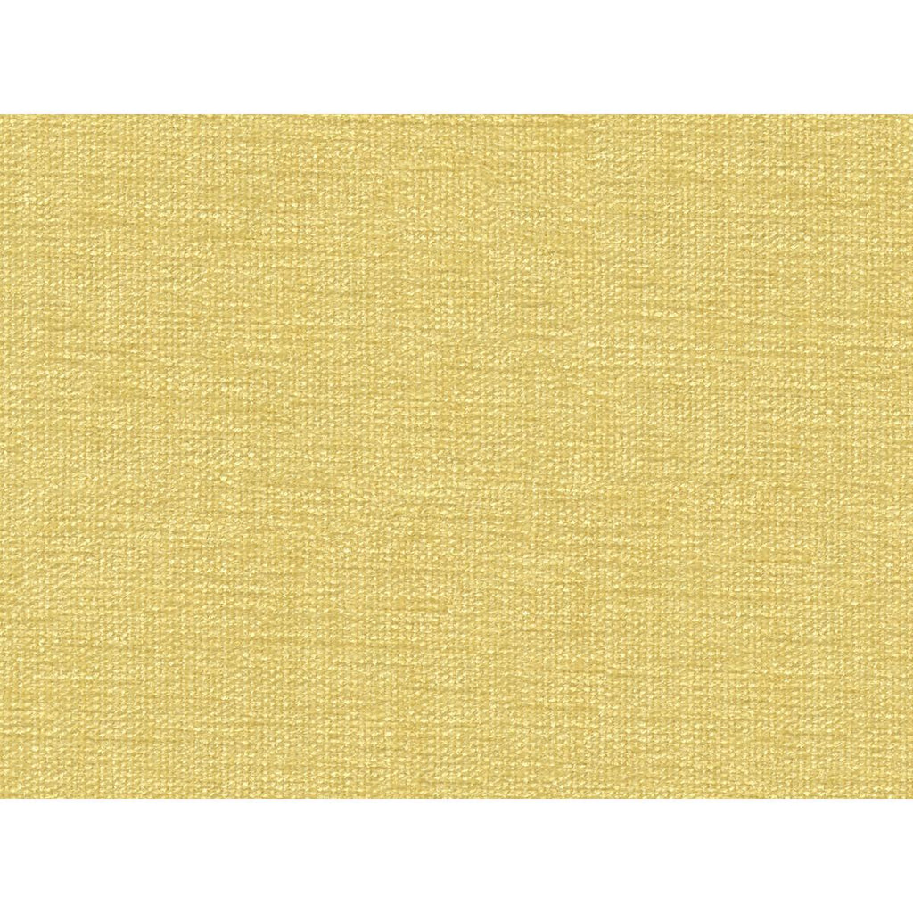 Kravet KRAVET SMART 34959-114 Fabric