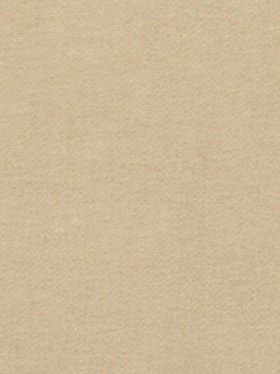 Scalamandre Majestic Mohair Froth Fabric