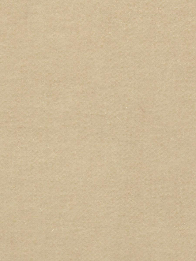 Scalamandre Majestic Mohair Froth Fabric