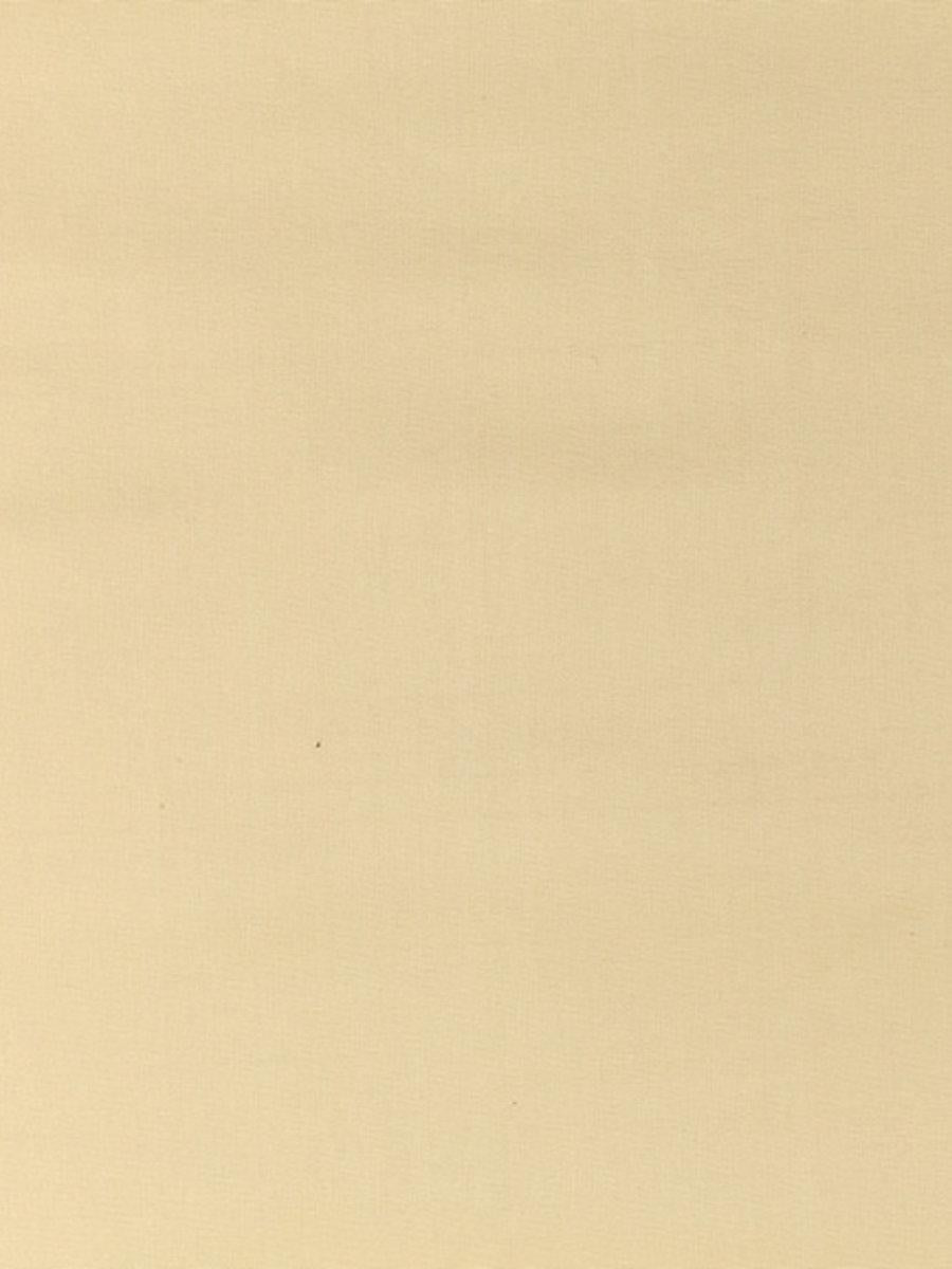 Scalamandre Pacific Silk Buttercream Fabric
