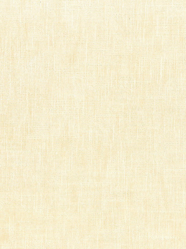 Scalamandre Supreme Velvet Falcon Fabric