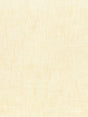 Scalamandre Supreme Velvet Falcon Fabric
