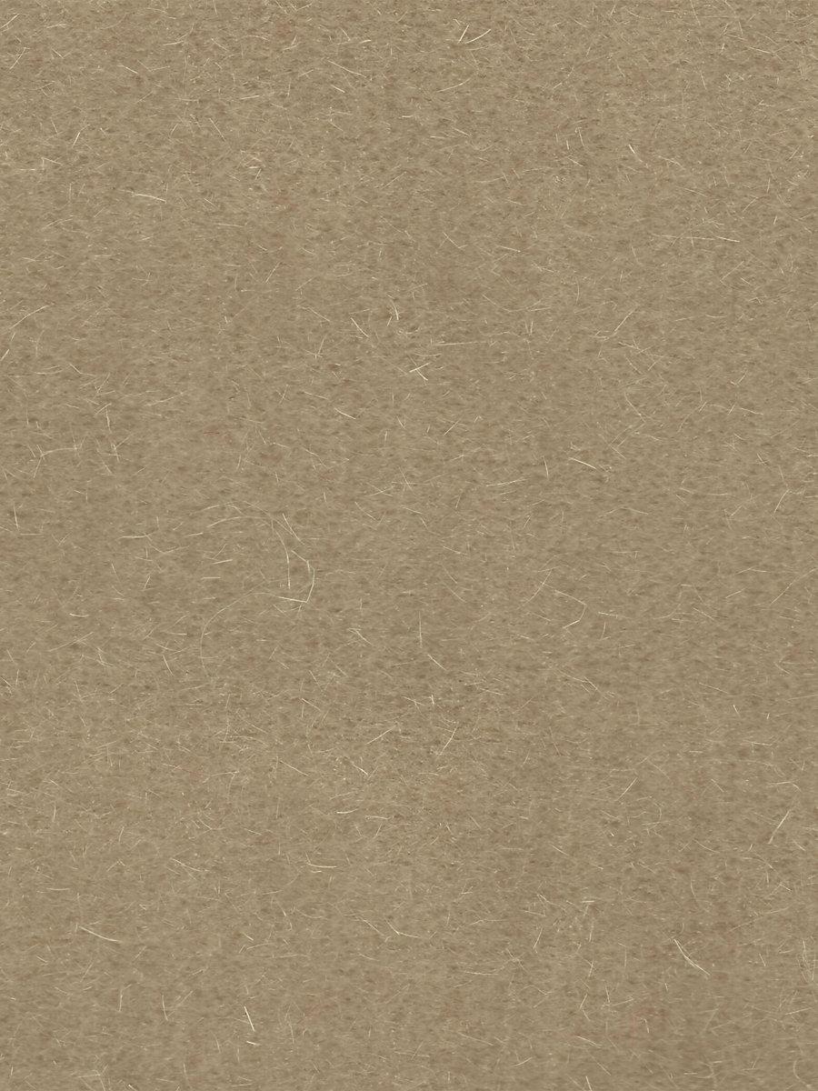 Scalamandre Majestic Mohair Putty Fabric