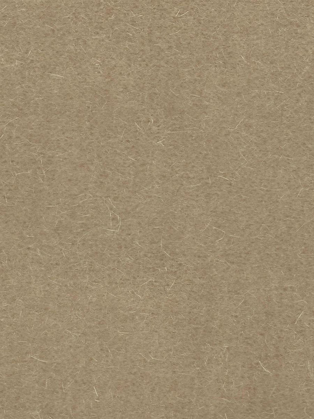 Scalamandre Majestic Mohair Putty Fabric