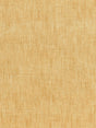 Scalamandre Supreme Velvet Moss Gray Fabric
