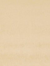 Scalamandre Glamour Velvet Elm Fabric