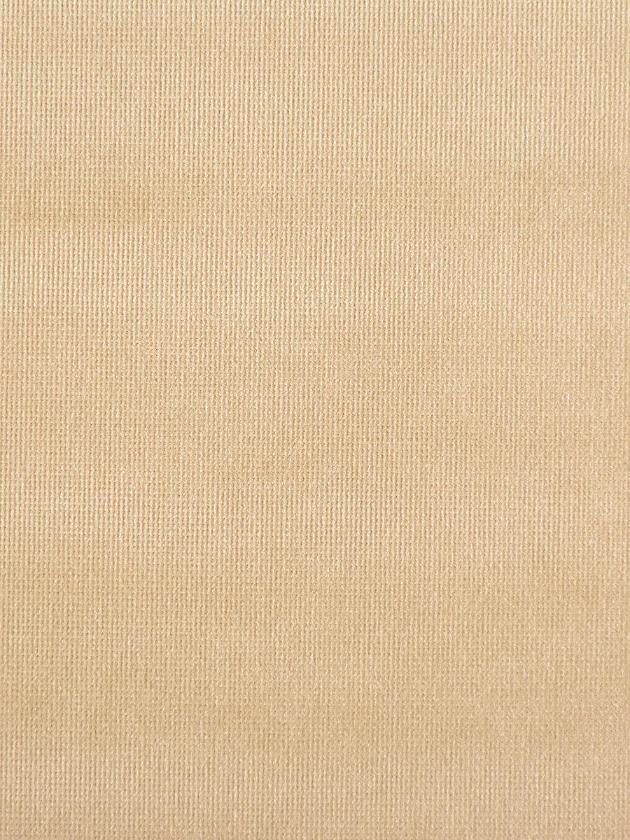 Scalamandre Glamour Velvet Stagecoach Fabric